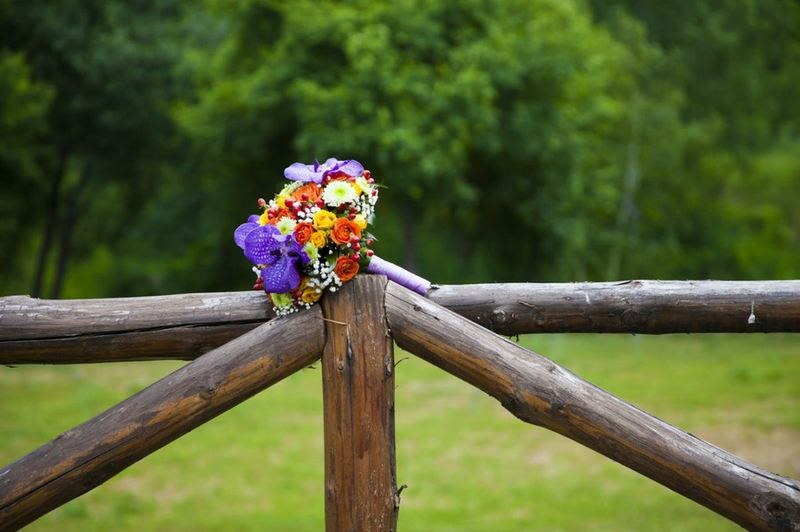 Екатерина Попова