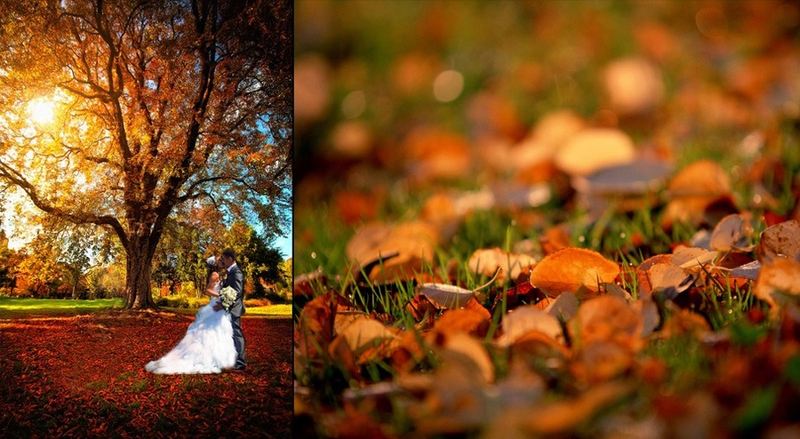 Illusion Wedding Cinema