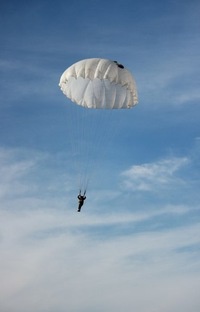 Агентство торжеств «Dolce Vita»