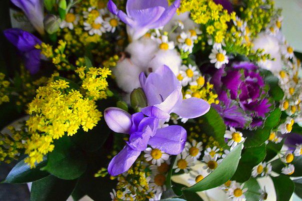 Татьяна Богатова