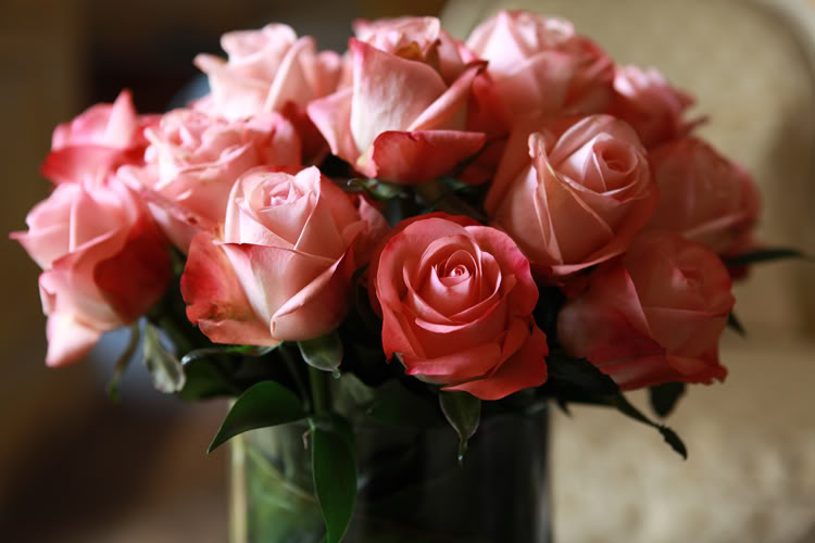 Ильмирочка Сан