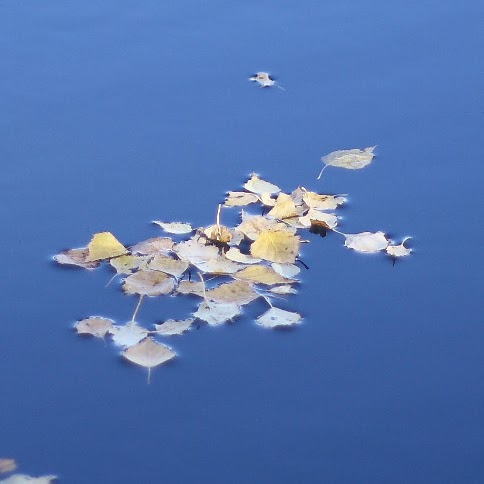 Евгений Свалов