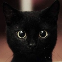 Ленуська Иванова