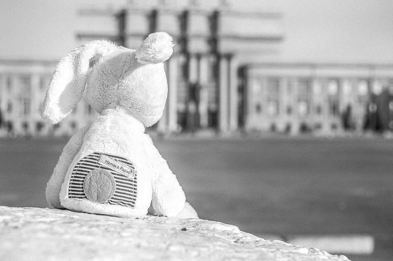 Михаил Писарев