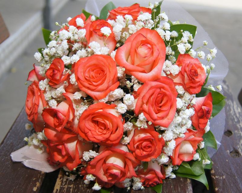 Олеся Михайлова