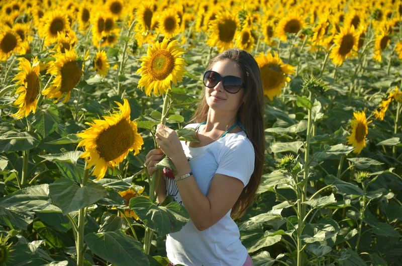 Ксения Павловская