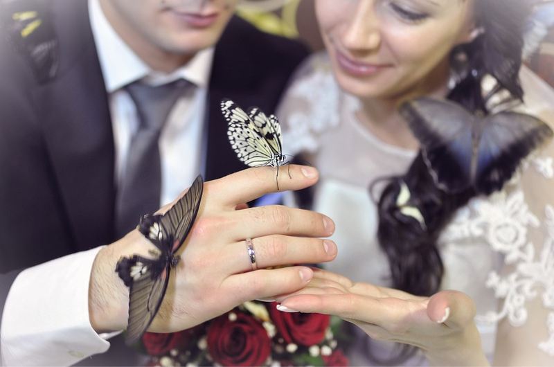 Алексей Андреянченко