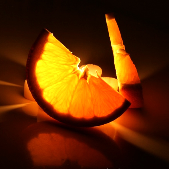 Татьяна и Сергей Шавкуненко