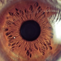 Илья Парубенко