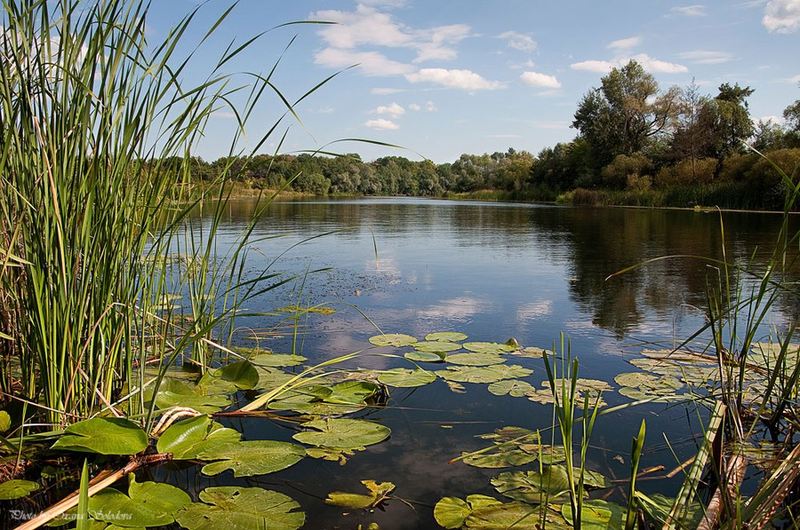 Оксана Солодова