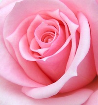 Юлия Кисслер