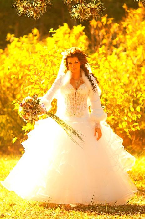 Евгений Ковалевский