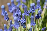 Валерий Решетников