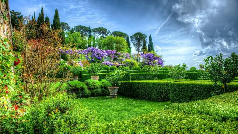 Фото-видео студия «iqfoto»