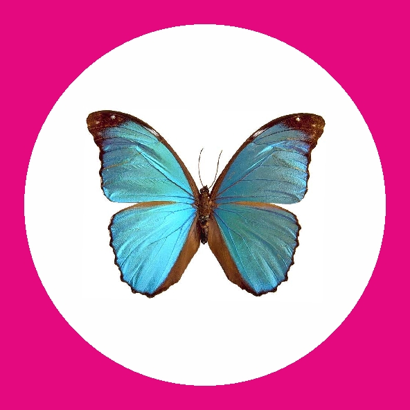 Елена Никонюк