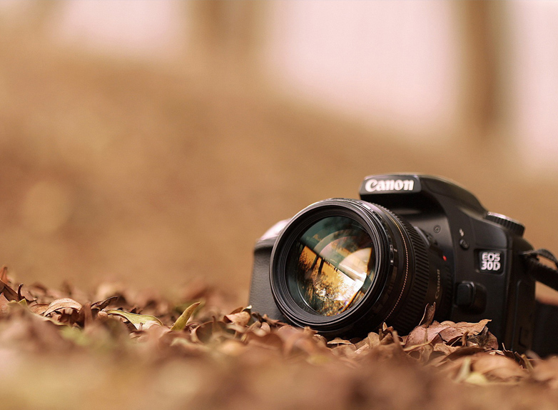 Юлия Волохова