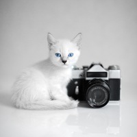 Рафит Муллаянов