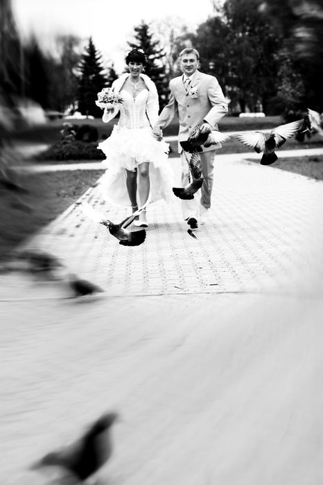 Дмитрий Муратов