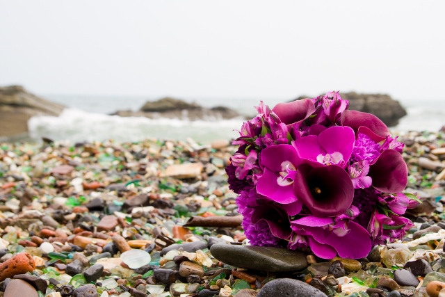 Анна Пацкевич