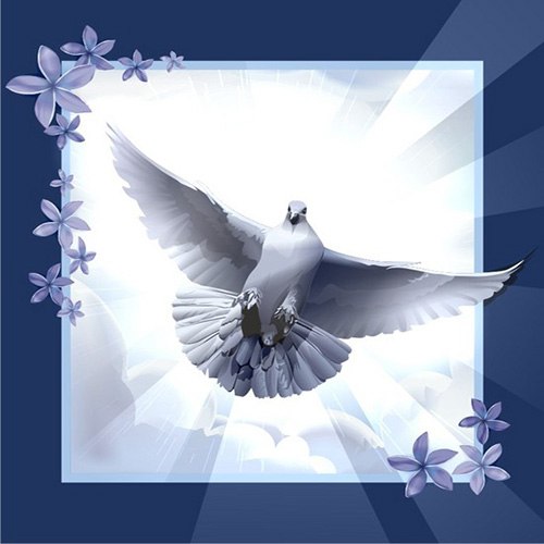 Птица Счастья