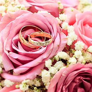 Анастасия Злобина, Станислав Куликовский