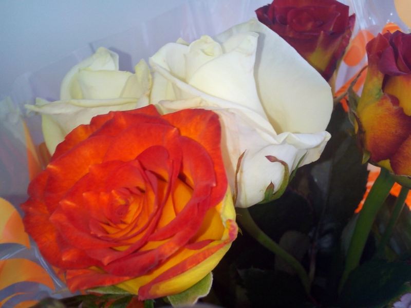 Любовь Строгонова