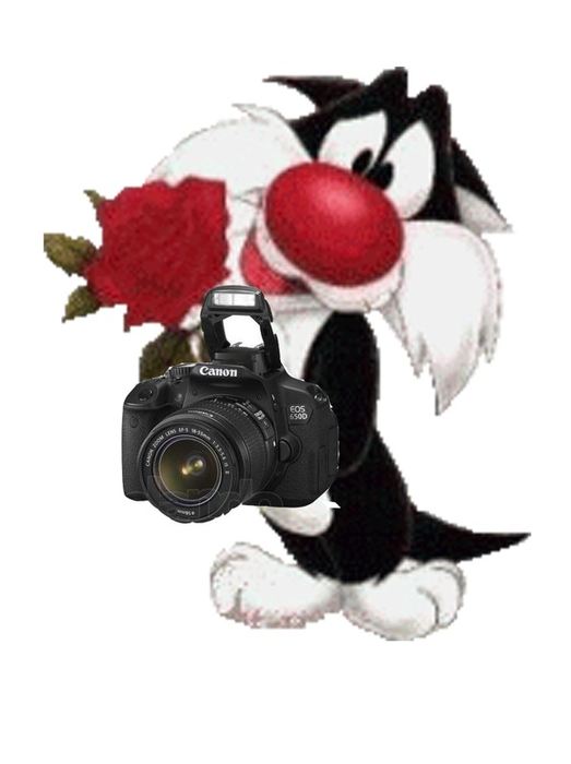 Вадик Лисецкий