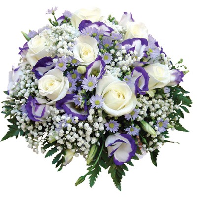 Марина Рейн