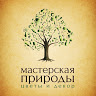 Мастерская Природы