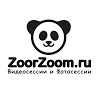 ZoorZoom