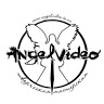 Angelvideo