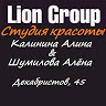 Lion Group