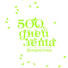 500 дней лета