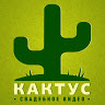 Кактус