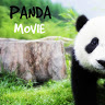 Panda Movie
