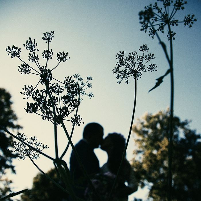 Владимир Будков