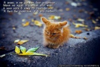 Наташа Логоднова