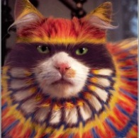 Сергей Иваненко