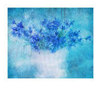 Ольга Трушкина