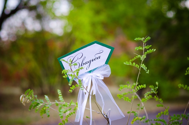 Илья Овчинников