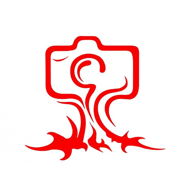 Сергей Пересвет