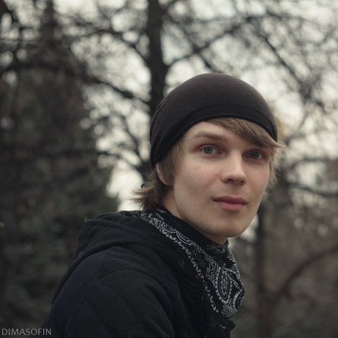 Дмитрий Софин