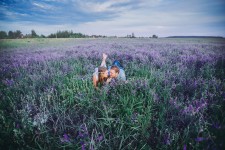 Анастасия Воскресенская