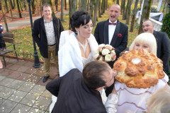 Ведение свадьбы