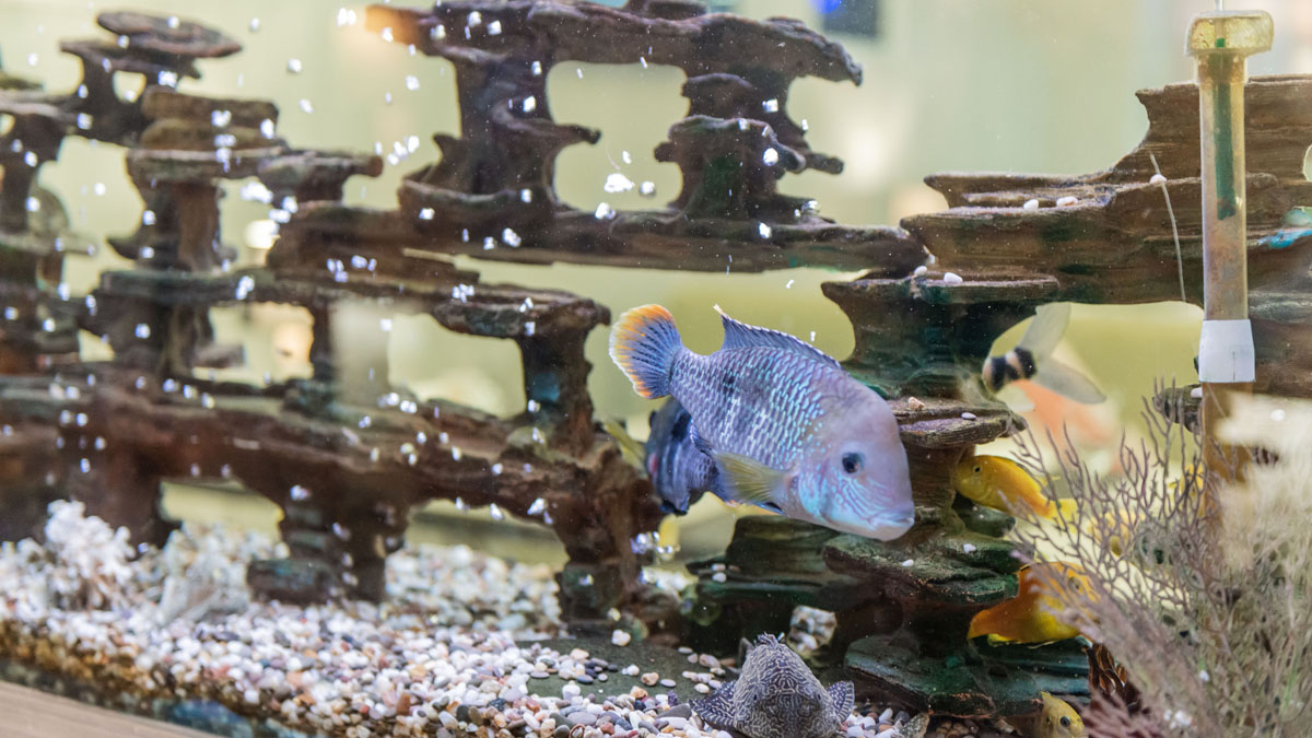 Основной зал — фото 16