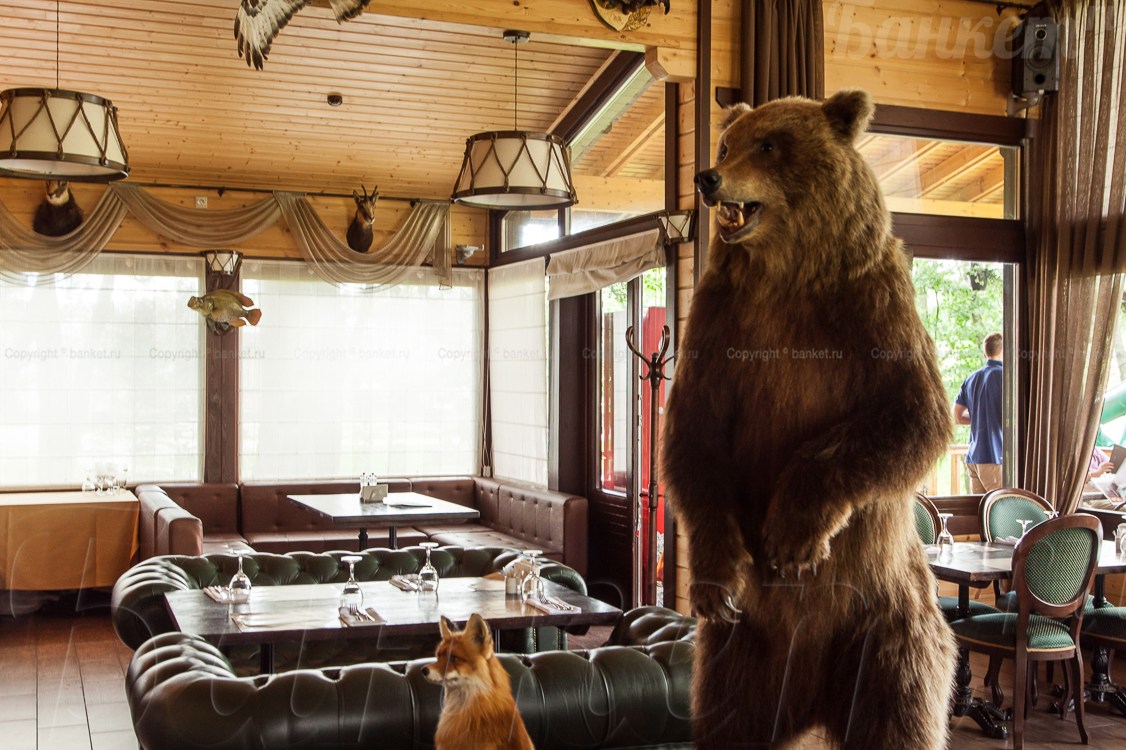 Ресторан — фото 9