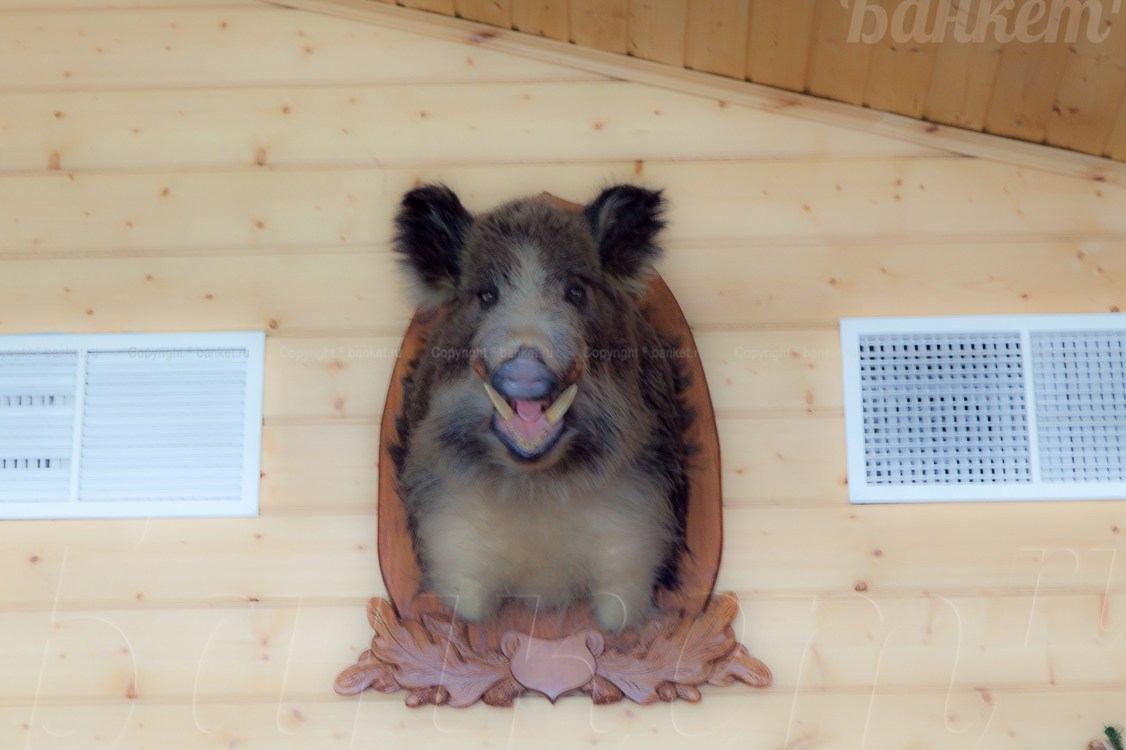 Ресторан — фото 15