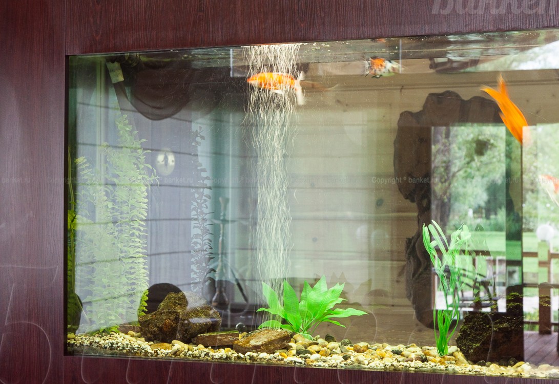 Ресторан — фото 18