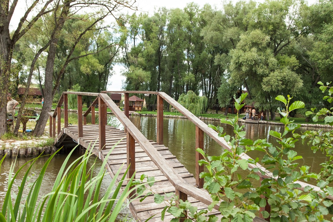 Ресторан — фото 24