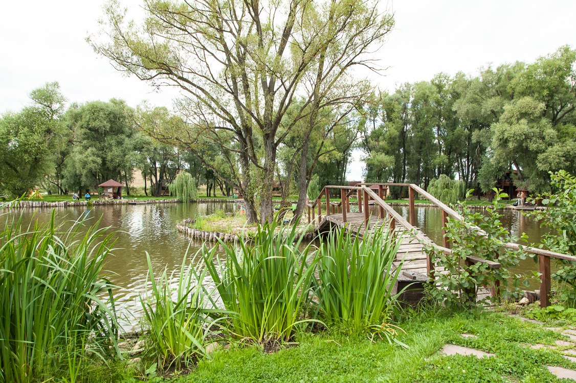 Ресторан — фото 28